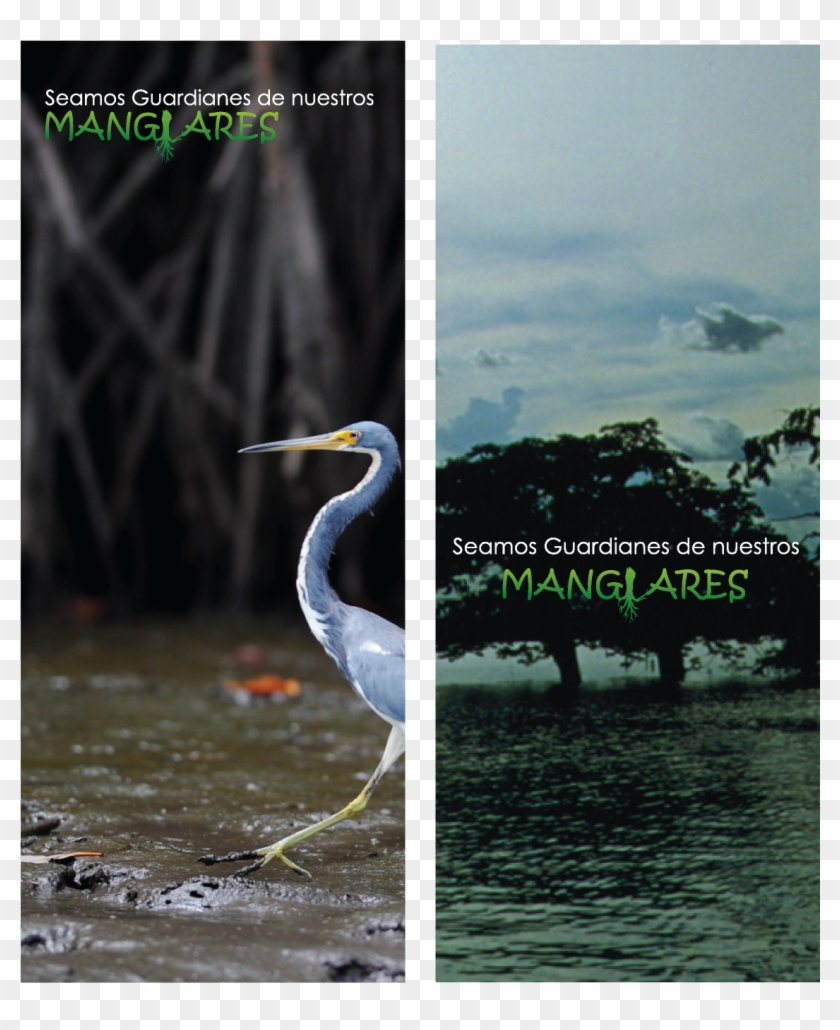 Prensavertical - Great Egret Clipart #4987414