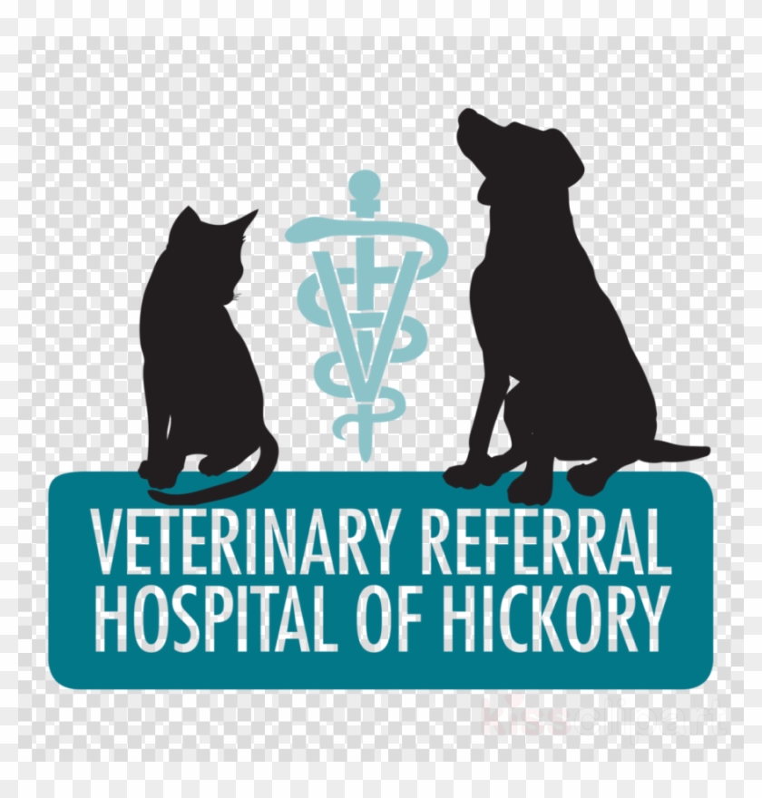 Veterinary Medicine Clipart Cat Dog Veterinary Referral - Png Download
