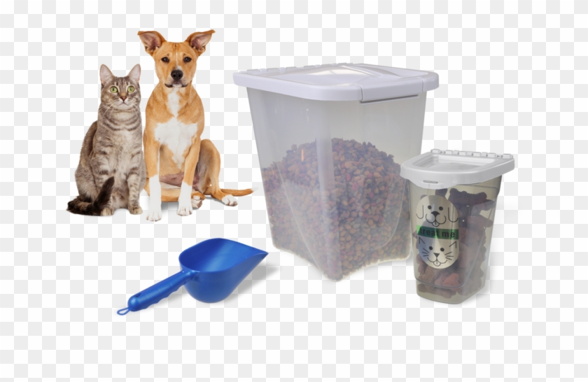 Cat Dog Foodcontainers - Perro Y Gato Mestizo Clipart #4990005