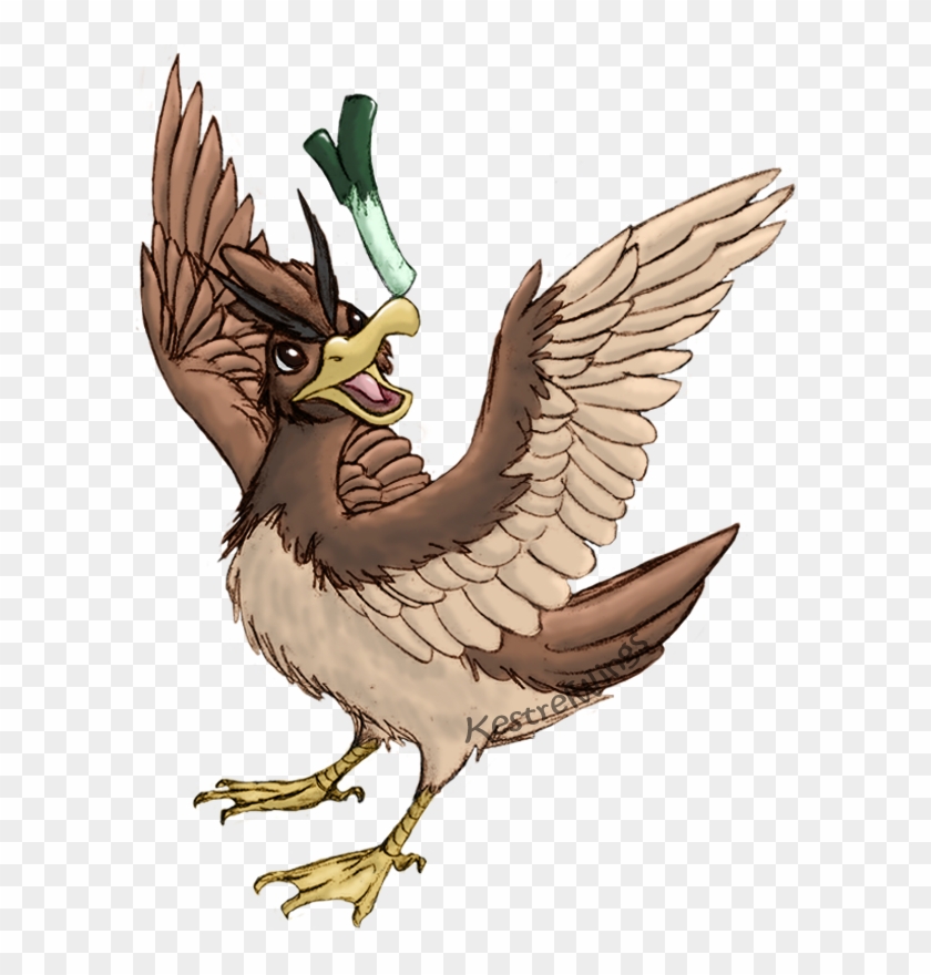 Farfetch'd - Phasianidae Clipart