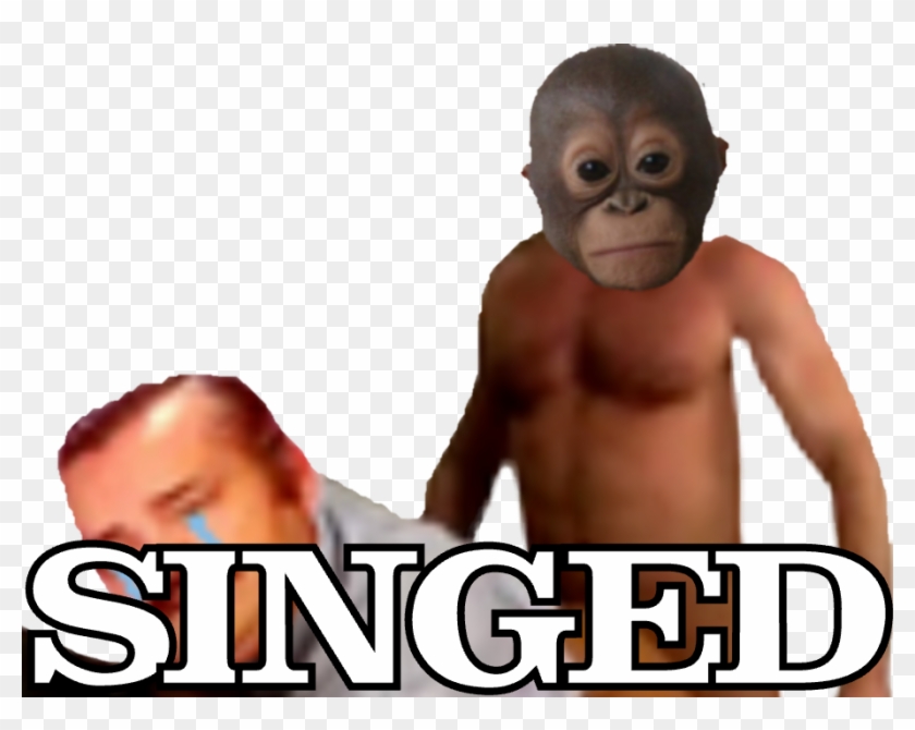 10922890 - Macaque Clipart