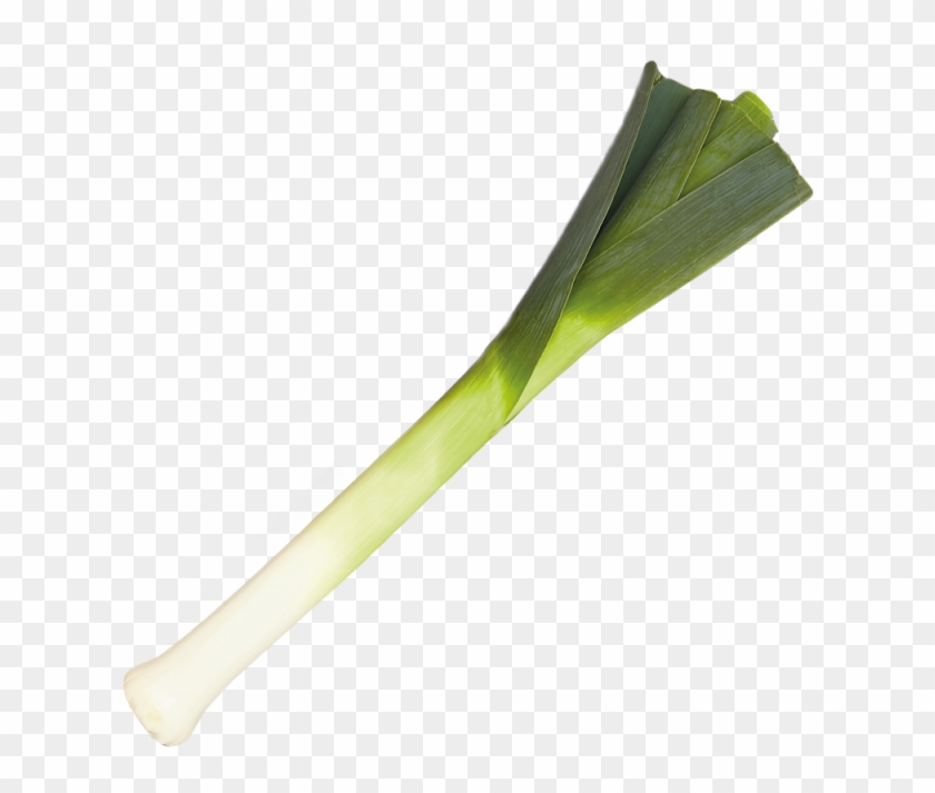 Food & Cooking - Leek Clipart