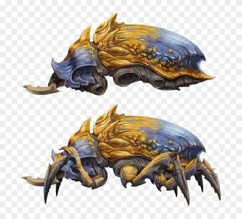 Ngi-shalck - Dragon Clipart #4992064