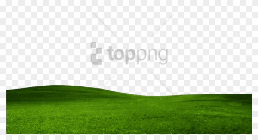 Free Png Farmland Png Png Image With Transparent Background - Prostate Cancer Charity Clipart #4992434