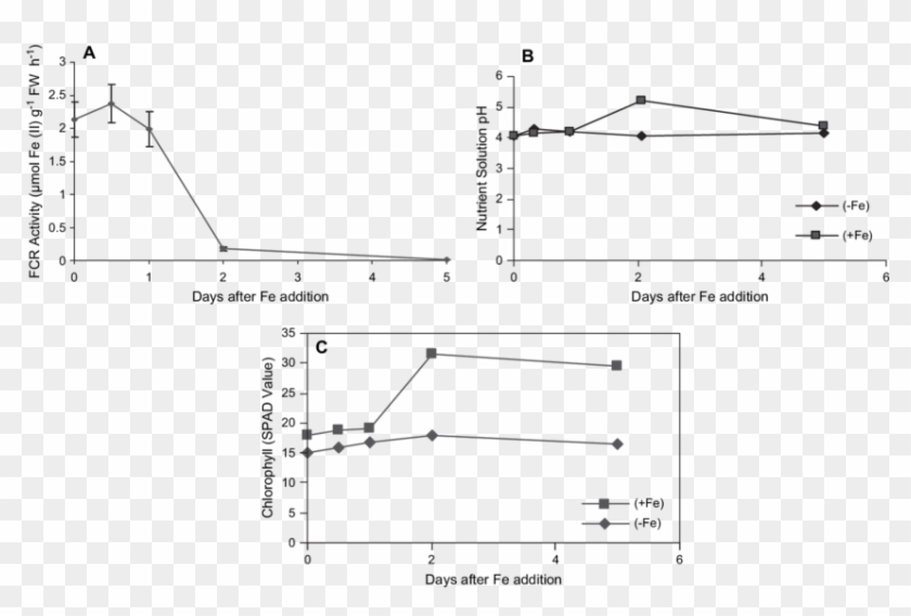 Effects Of Addition Of 10 Mm Feedta To The Growth Medium - Aluminium E Modul Clipart