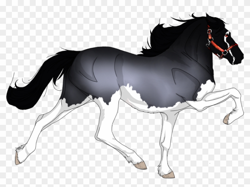 Gulastra Plume Black Horse Clipart #4993544