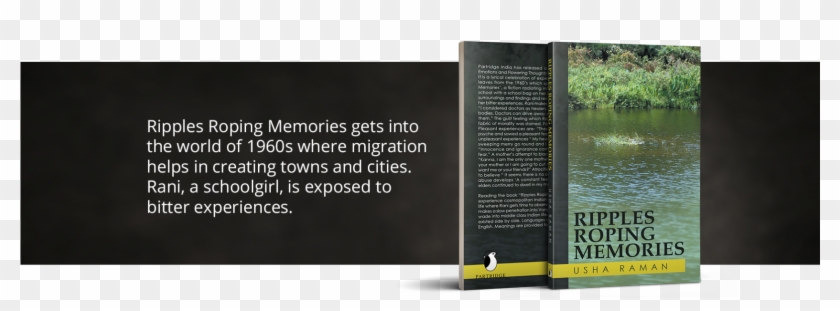 Brochure , Png Download - Parrot Clipart