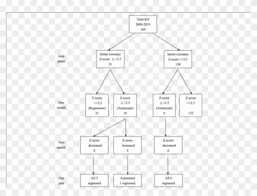 Flowchart Of Coronary Follow-up Of 169 Patients With - Monochrome Clipart