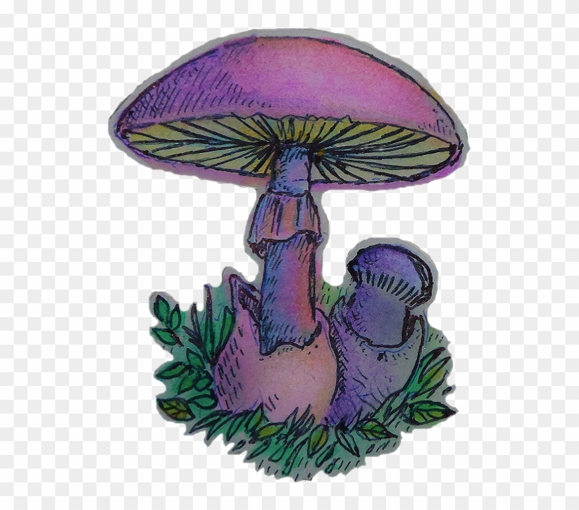 Mushroom Sticker - Cute Mushroom Aesthetic Clipart #4996636