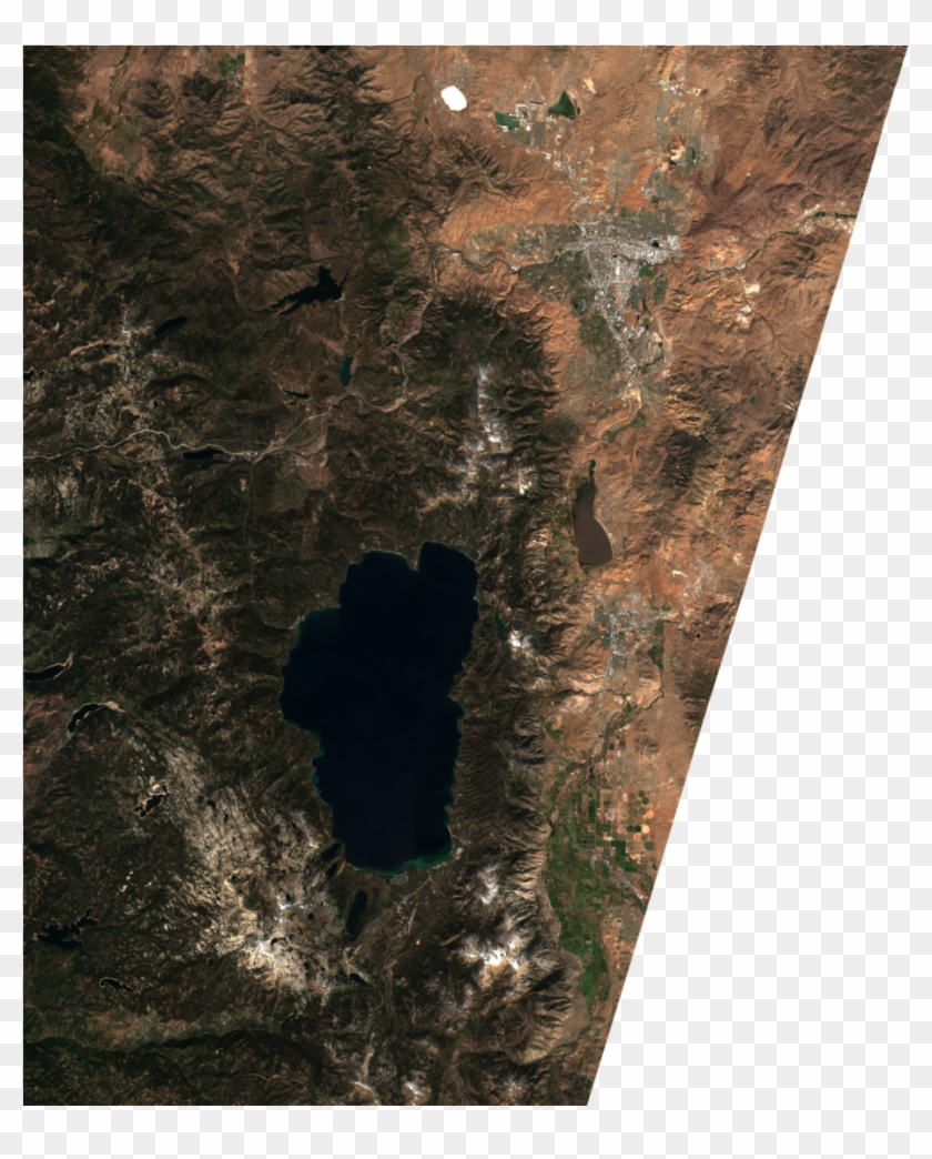 Boa Ovr - Wood Clipart #4997142