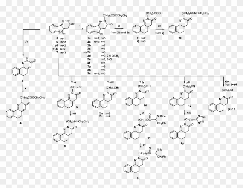 Scheme 1 Reagents And Conditions - Ch3 Cooch Ch2 Clipart #4997365