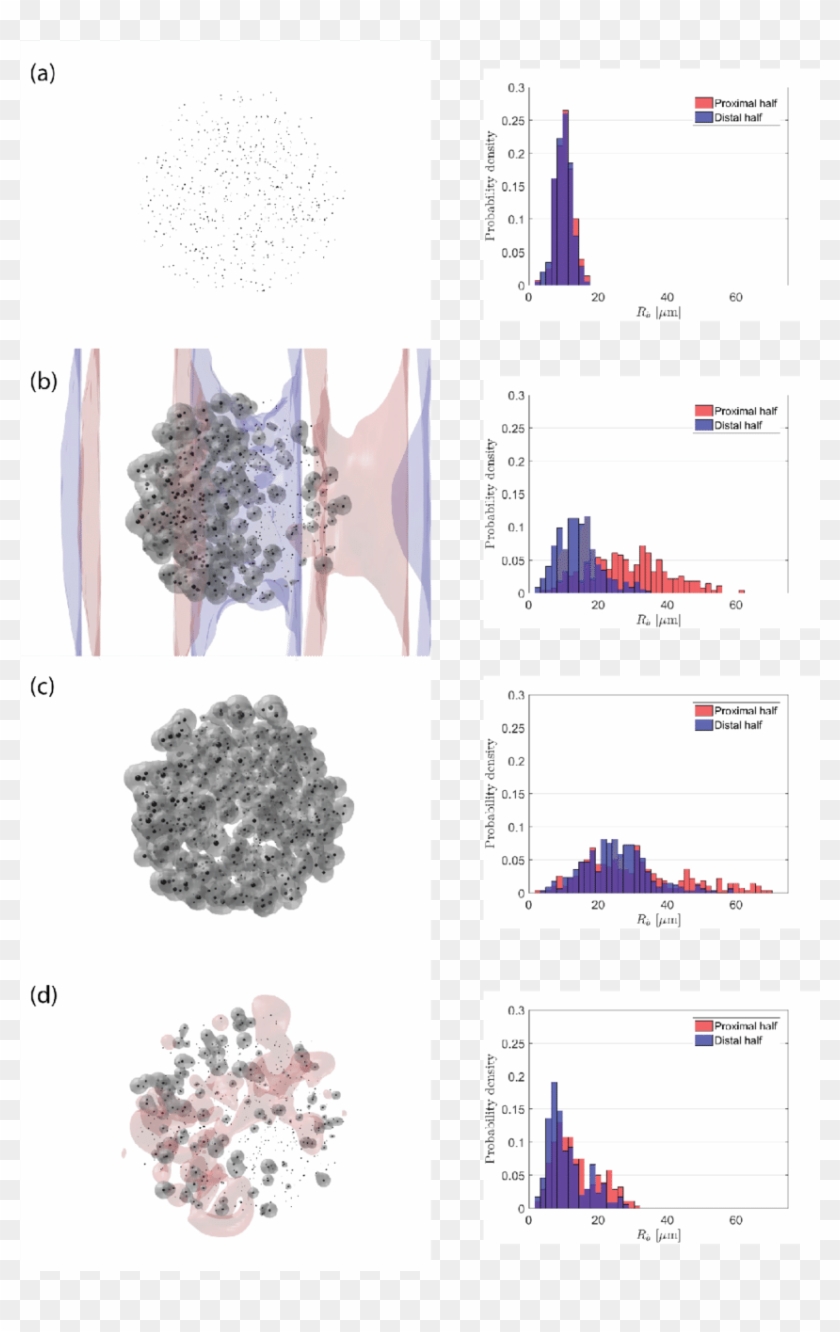 Snapshots Of The Bubble Cloud During The Simulation - Pattern Clipart