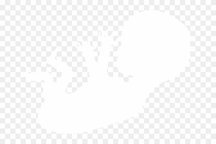 Embryo Cliparts - Illustration - Png Download #4997747