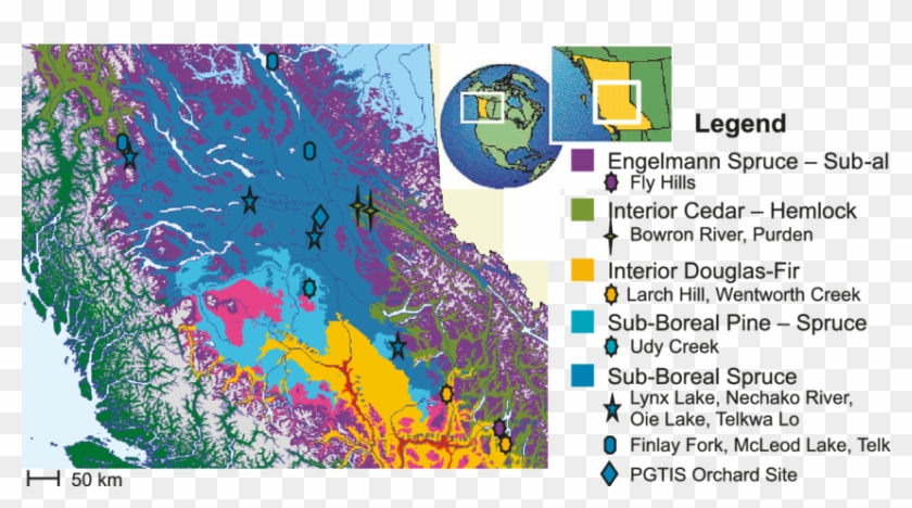 Map Showing The Locations Of The Provenances And Their - Biogeoclimatic Zones Of British Columbia Clipart