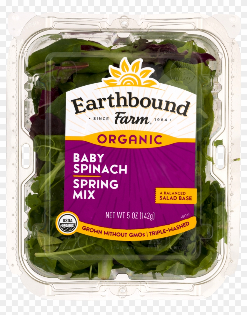 Baby Spinach Spring Mix Clipart #4999832