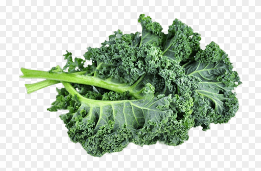 Free Png Download Kale Png Images Background Png Images - Kale Png Clipart #50753