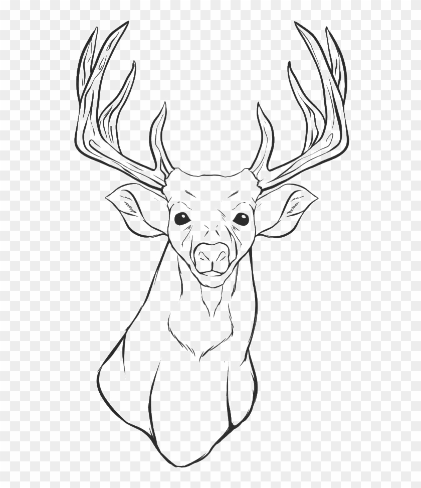 A Coloring For Kids Animal Pages Kidsdrawing - Real Tree Coloring Pages Clipart