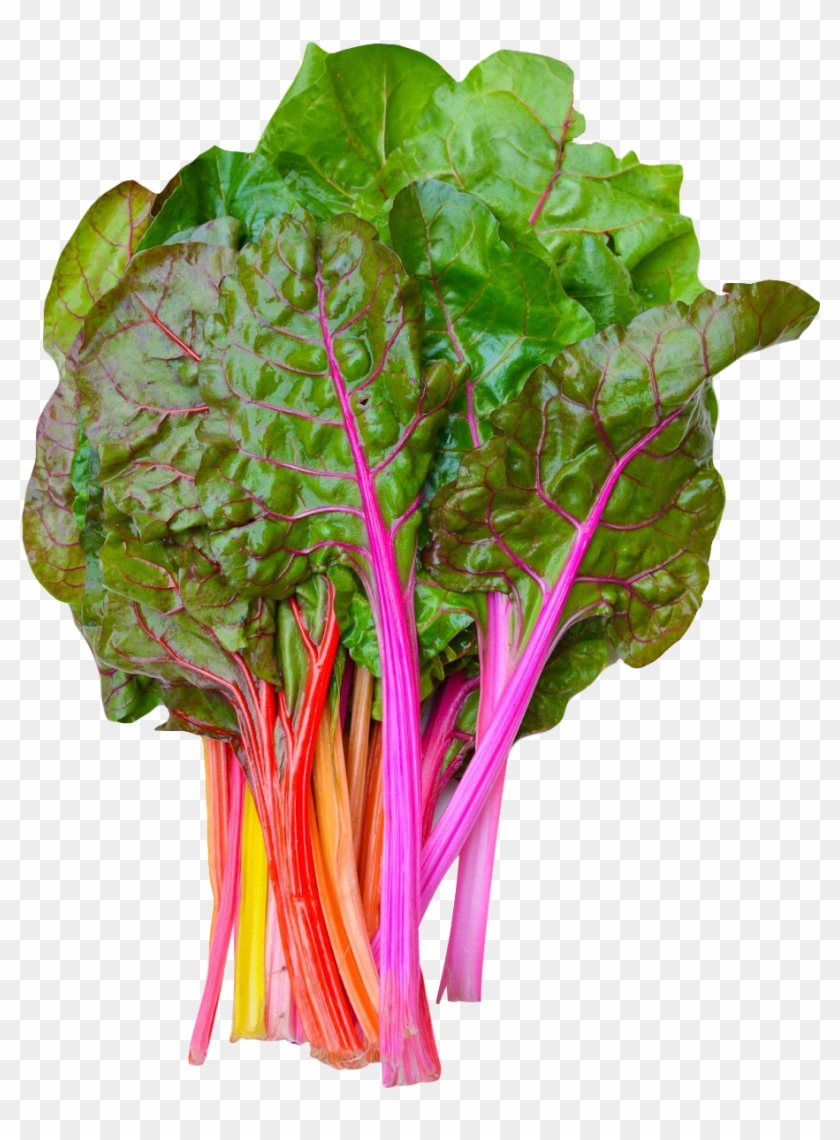 Rainbow Swiss Chard Png Image - Chard Png Clipart