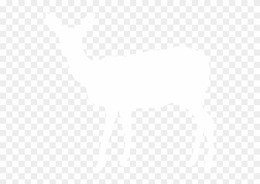 Deer - White Deer Silhouette Png Clipart