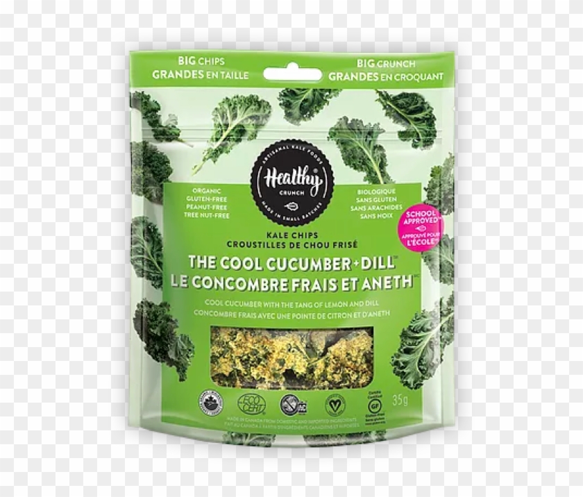 Kale Foods - Curly Kale Clipart