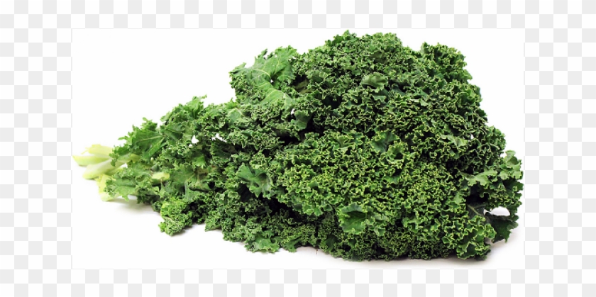 Kale Png Clipart