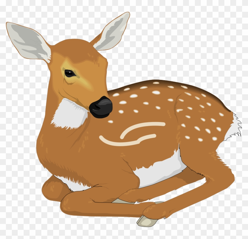 Deer Clip Art For Kids Free Clipart Images - Baby Deer Deer Clipart - Png Download