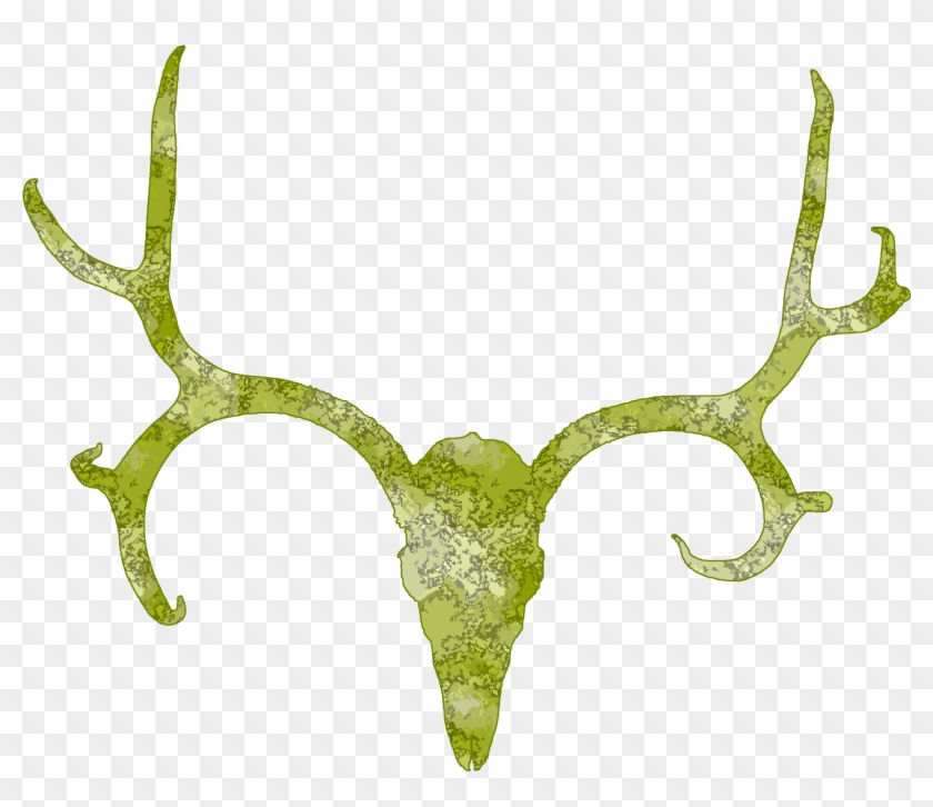 2592 X 1944 3 - Deer Clipart