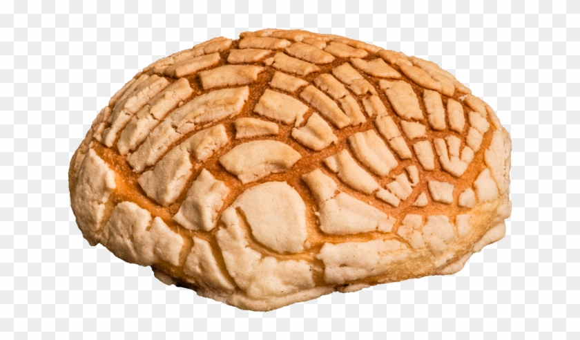 Conchas Pan Png - Macro Photography Clipart #52537