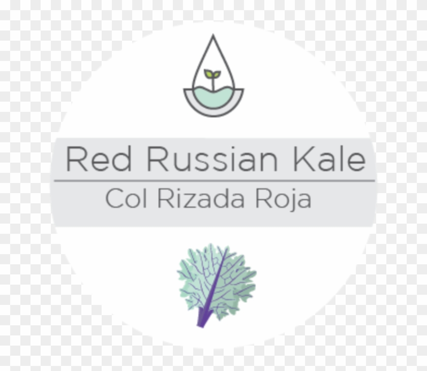 Red Russian Kale - Circle Clipart
