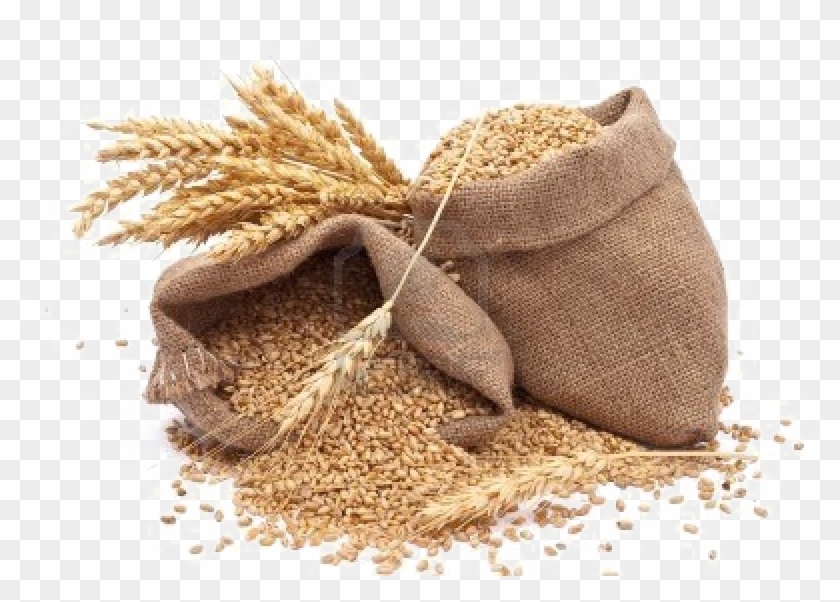 Grain Png Photos - Propiedades Nutritivas Del Trigo Clipart