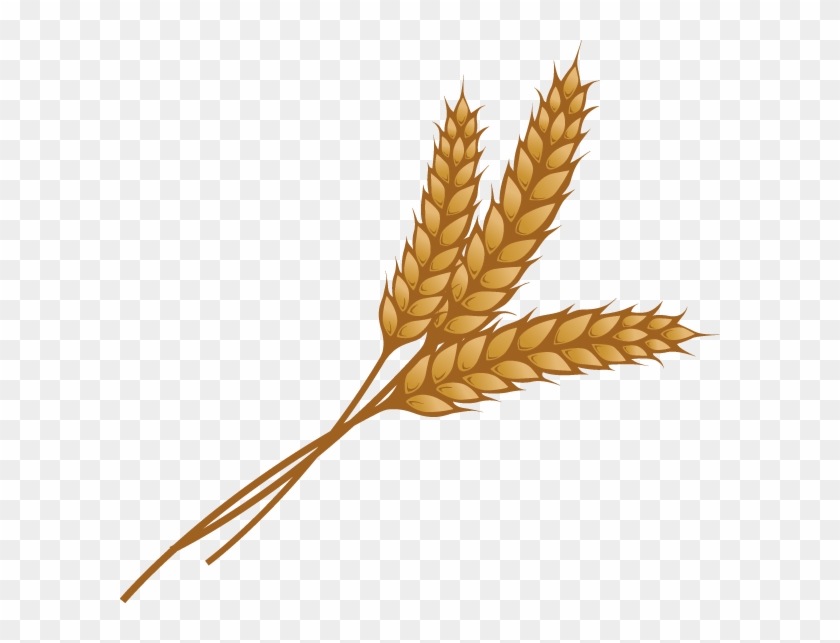 Grain Png Image - Grain Wheat Clip Art Transparent Png #54468