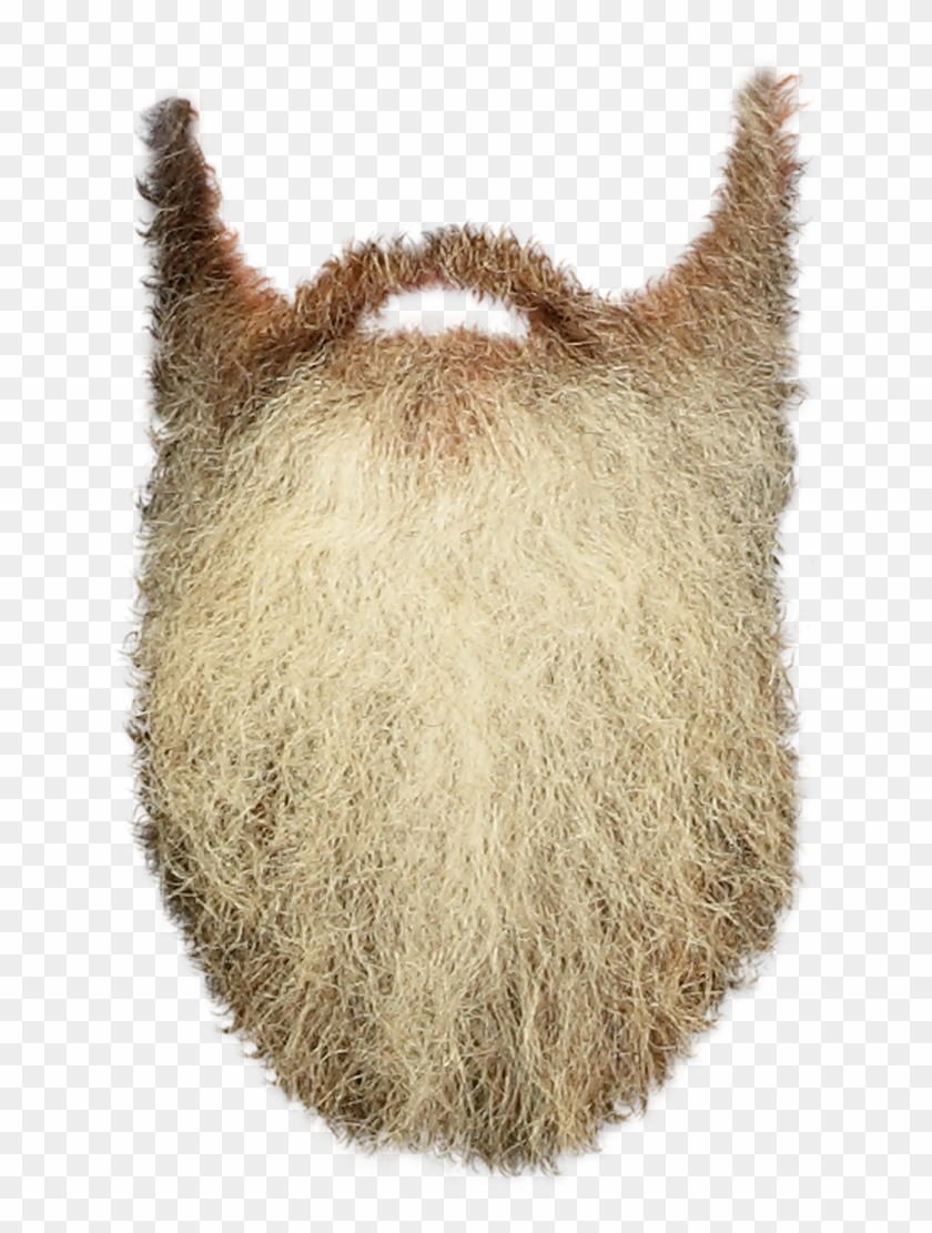 Beard Png Photo - Beard Transparent Background Clipart #54536