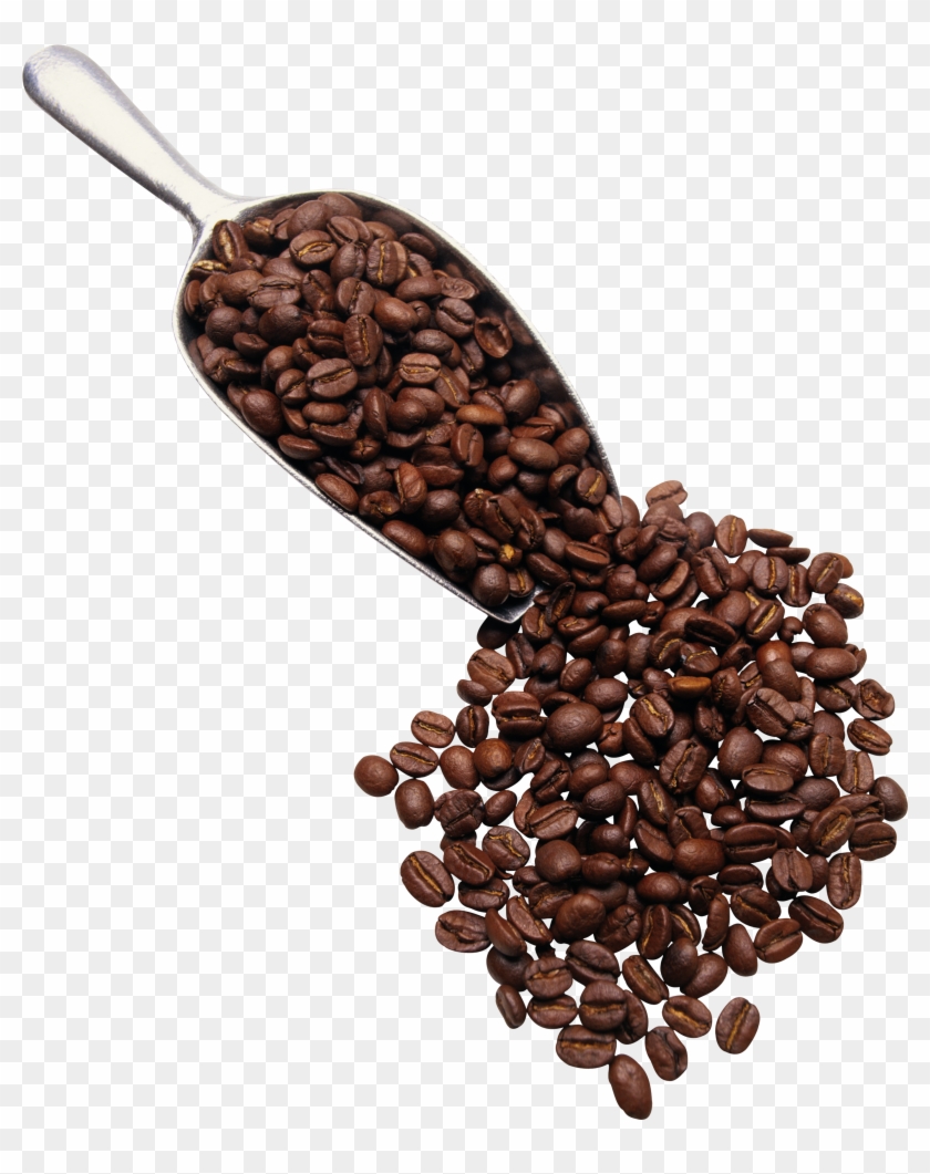 Grain Café Png - Scoop Of Coffee Beans Clipart #55086