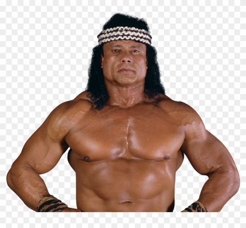Hulk Hogan Png Clipart #56042