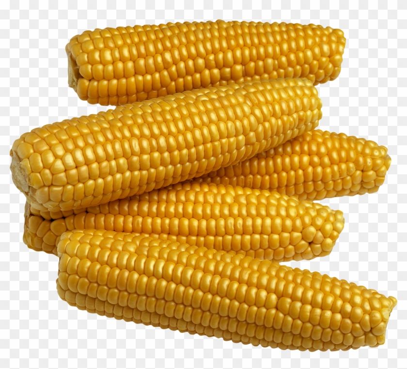 Corn For Kids Clipart #56446