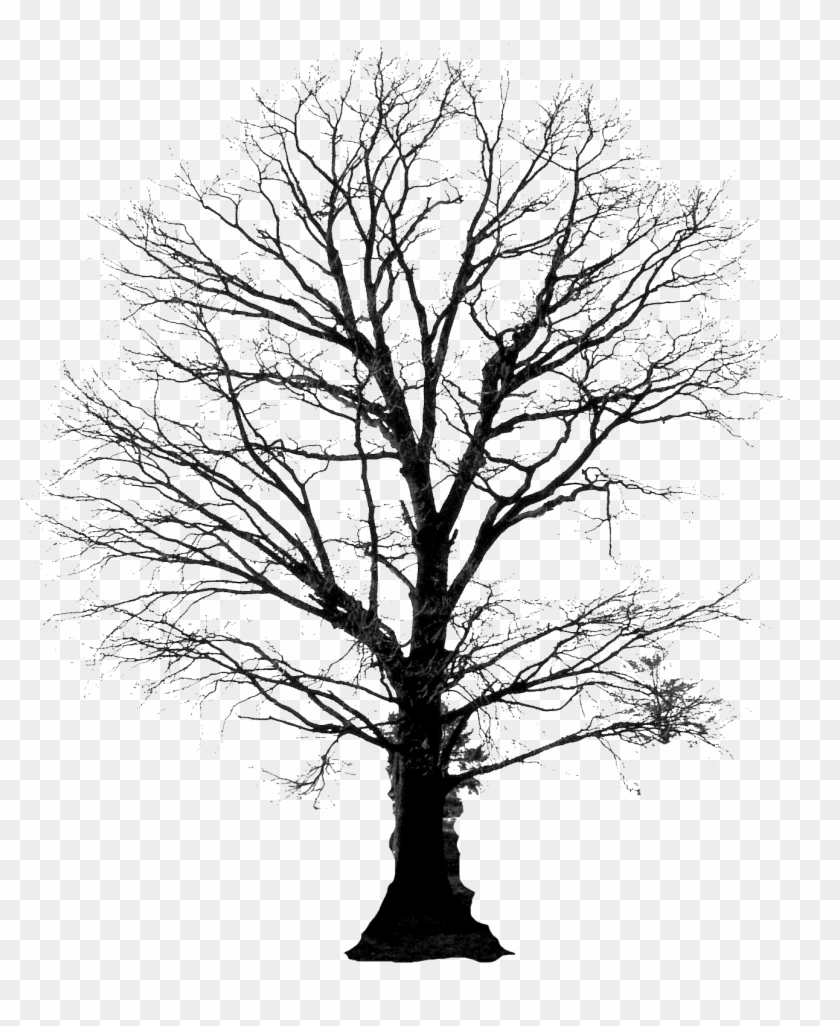 Google Search So Ya - Portable Network Graphics Clipart #56492