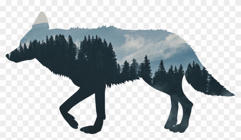 Visit Our Store - Coyote Silhouette Clipart #56797