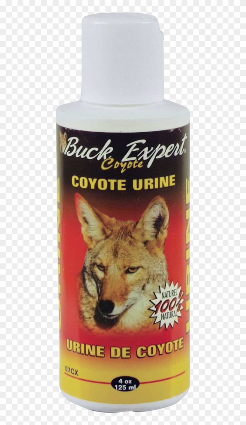 Natural Coyote Urine Clipart