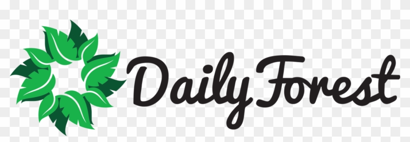 Dailyforest - Calligraphy Clipart #57466