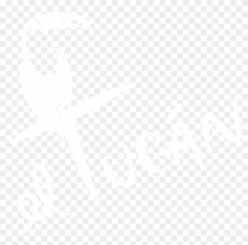 Marionmiamilogo Eltucanmiami Eltucanmiami - Toucan Clipart