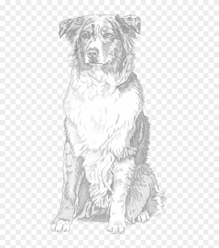 Free Png Download North America Png Images Background - Companion Dog Clipart