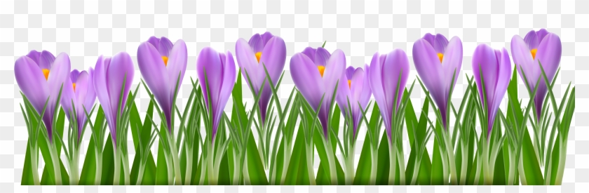 Spring Flowers Cartoon Clipart
