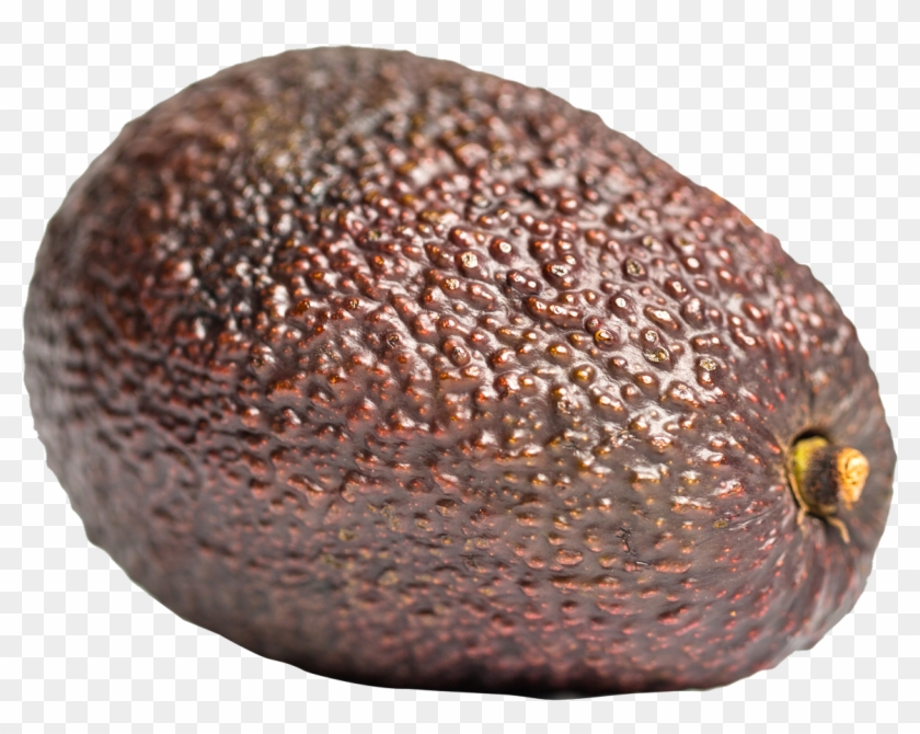 Image - Brown Avocado Png Clipart #500031