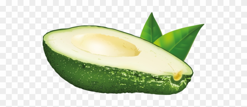 Avocado - Vector Graphics Clipart #500111