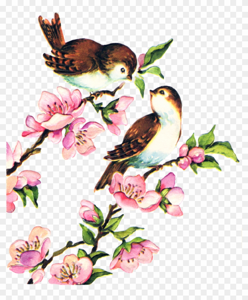 Free Collage Sheet Vintage Birds Fptfy Clipart #500246