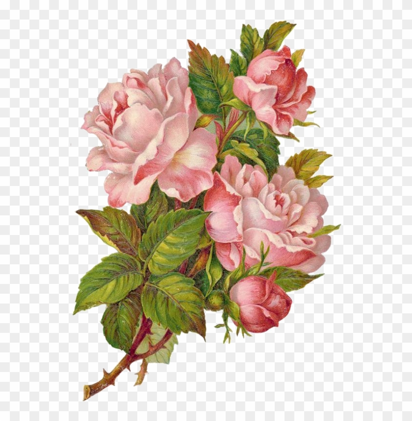 Vintage Floral, Vintage Diy, Decoupage Vintage, Decoupage - Scraps Flower Clipart #500660