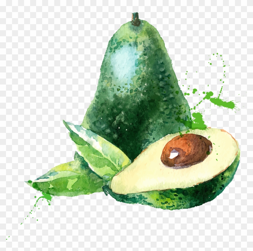 Collection Of Free Avocado Drawing Watercolor Download - Eat Seasonal April Clipart #500770