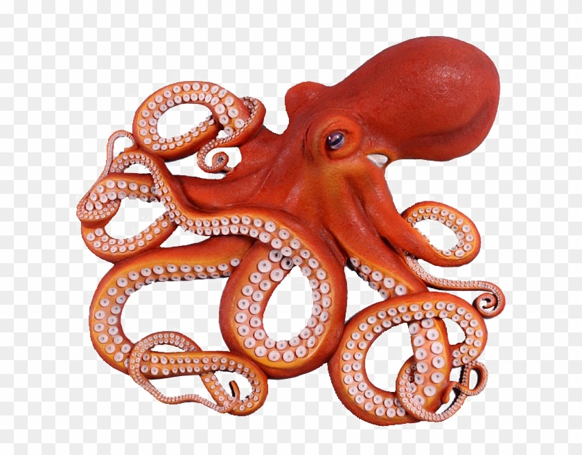 Octopus Png Photo - Octopus Png Clipart #500901