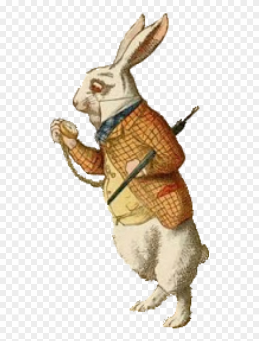 Vintage Alice In Wonderland Cut Out Png's - White Rabbit Alice Old Clipart #500935