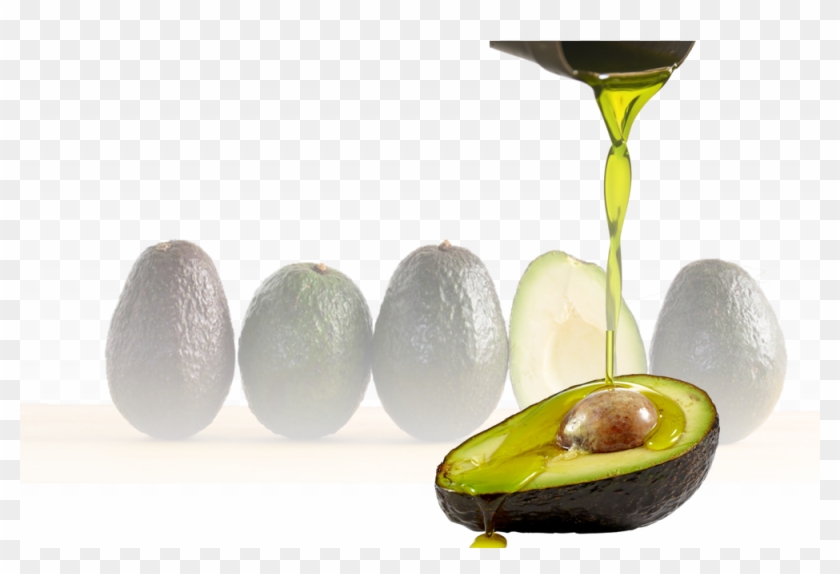 Avocado Oil Organic - Olej Awokado Clipart #501022